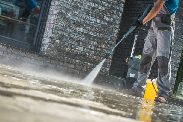 Animal Enclosure Cleaning in New London, IA